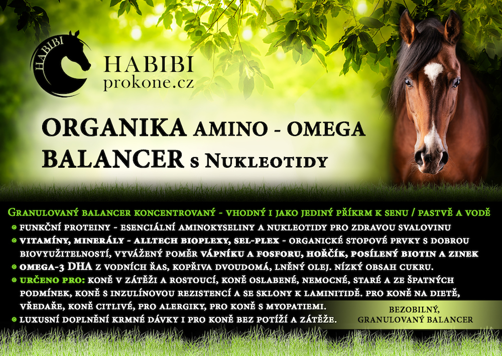 ORGANIKA amino-omega BALANCER s Nukleotidy 25 kg pytel 125 dní - MIN. TRVANLIVOST DO 21.7.2026 (DO VYPRODÁNÍ ZÁSOB)